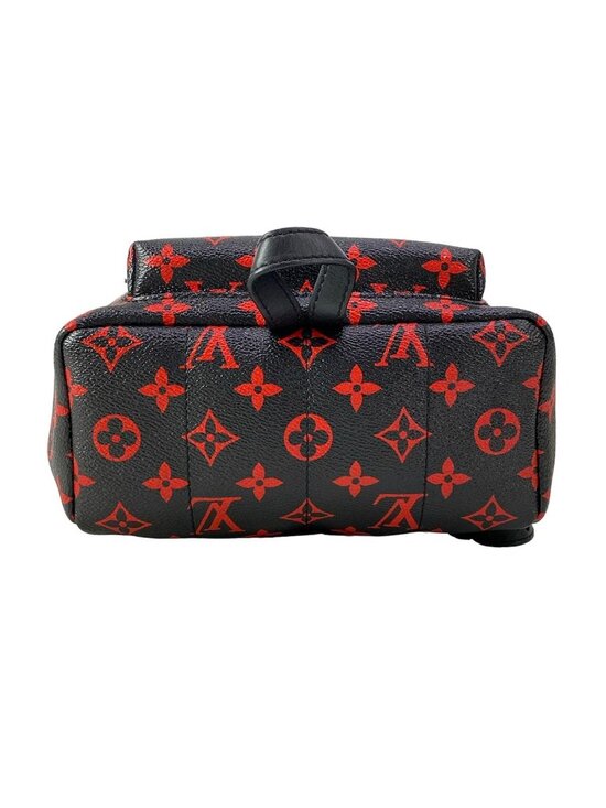 Louis Vuitton Backpack Monogram Enfrarge Palm Springs PM main image 8